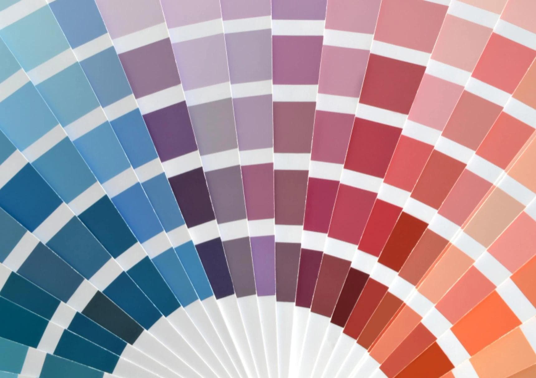 Brand Color Palette