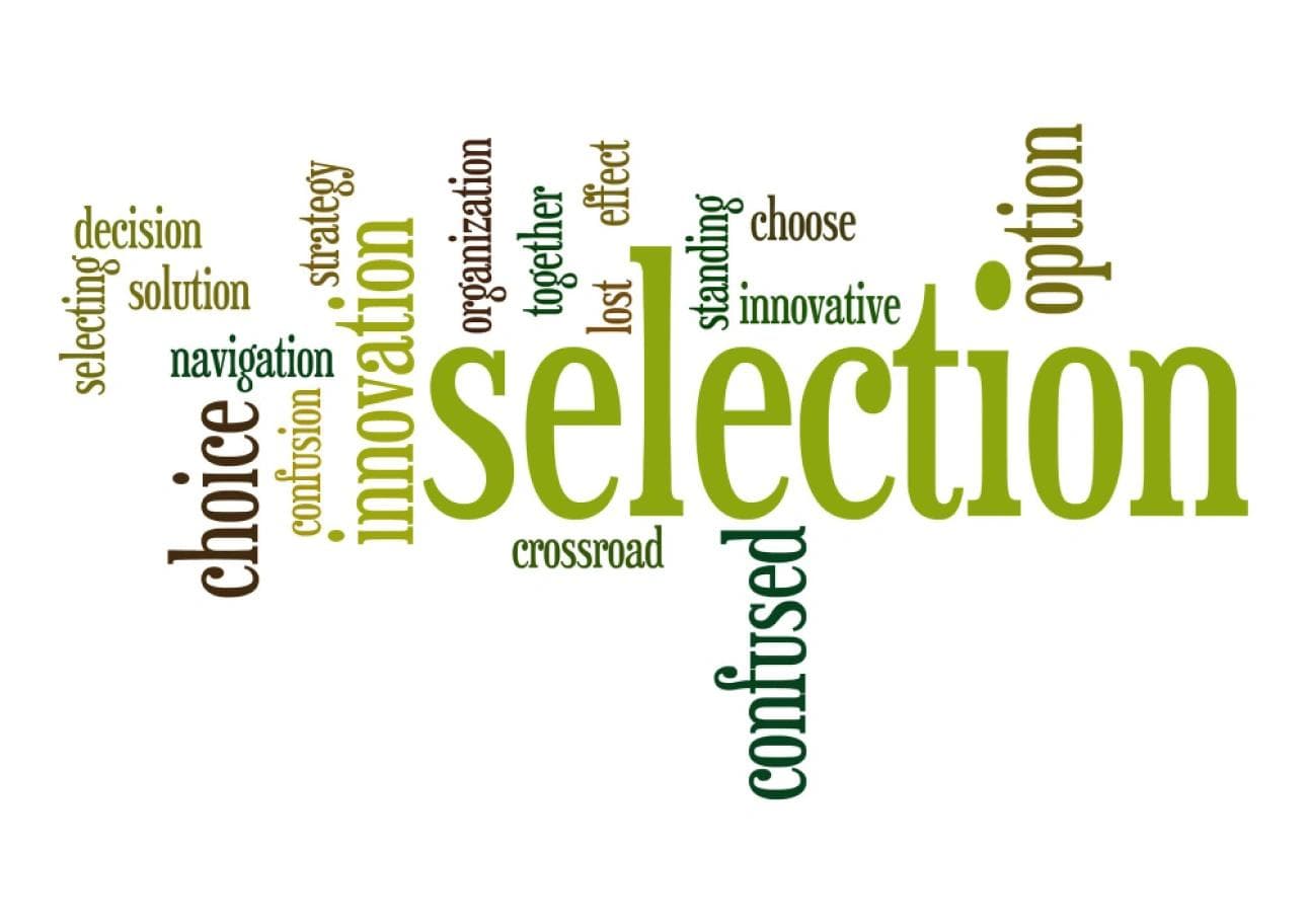 Typography Selection